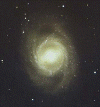 barred_spiral_galaxy_M95.gif (60956 bytes)