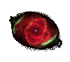 catseye_nebula_NGC_6543.gif (27654 bytes)